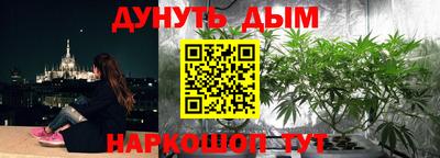гидра Моздок