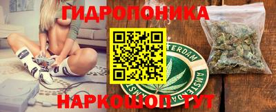 гидра Моздок